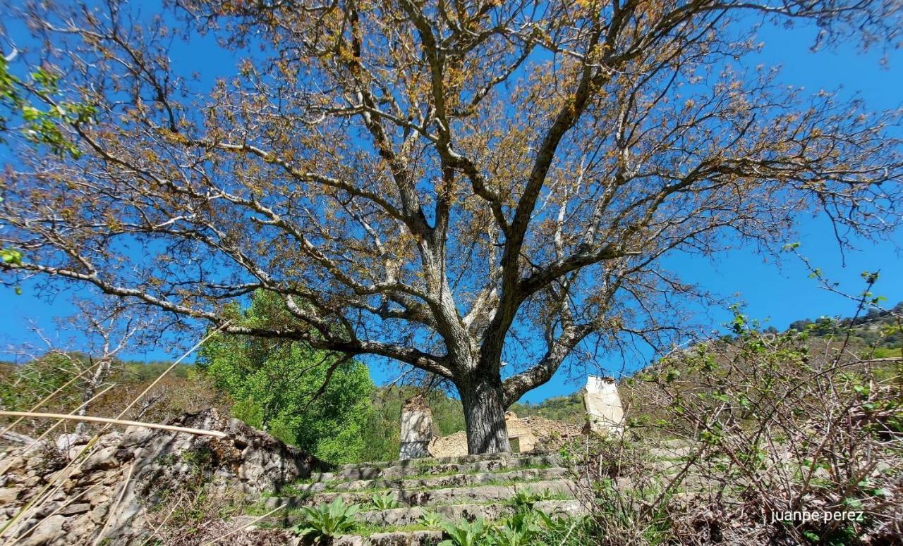 Villa Forastera Arroyo Frio Exterior photo